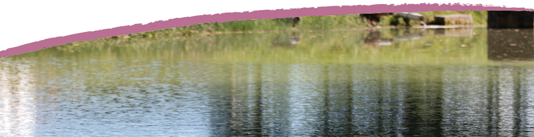 Idyllische Wasserlandschaft